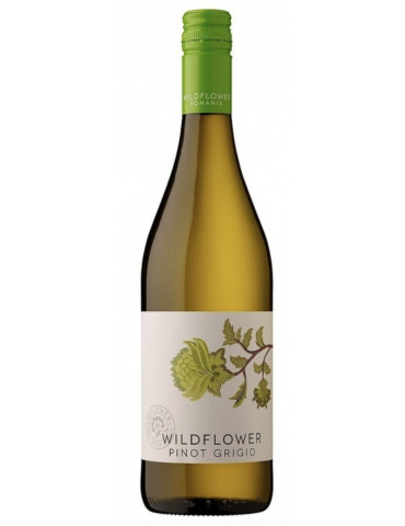 Recas – Wildflower Pinot grigio 2024
